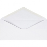 Business Source No. 10 V-Flap Envelopes (99715)