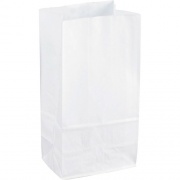 Sparco White Kraft Paper Bags (99828)