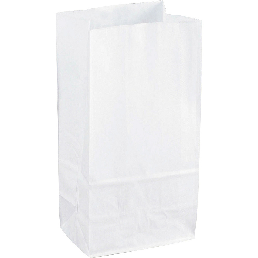 Sparco White Kraft Paper Bags (SPR99828)