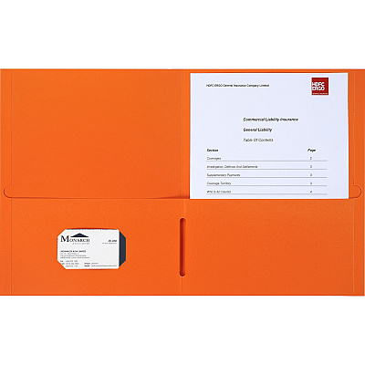 Business Source Letter Portfolio (BSN78554)