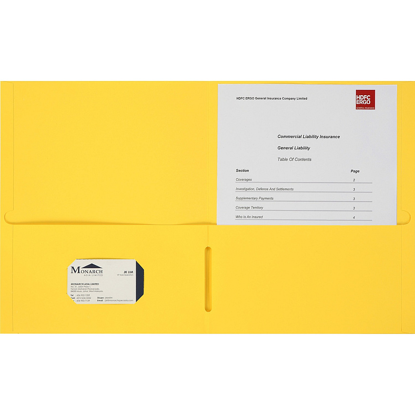 Business Source Letter Portfolio (BSN78556)