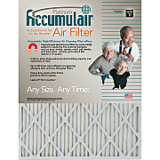 Accumulair Platinum Air Filter (FA10X204)