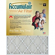 Filters-NOW.com Accumulair Gold Air Filter (FB20X204)