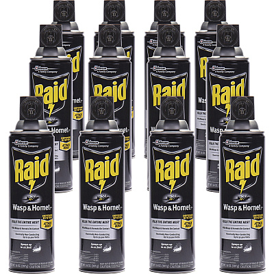 Raid Wasp/Hornet Killer Spray (SJN668006)