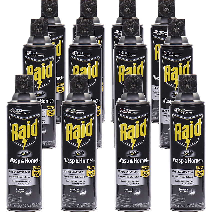 Raid Wasp/Hornet Killer Spray (SJN668006)