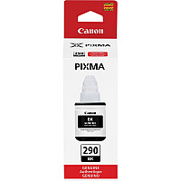 Canon PIXMA GI-290 Ink Bottle (CNMGI290BK)