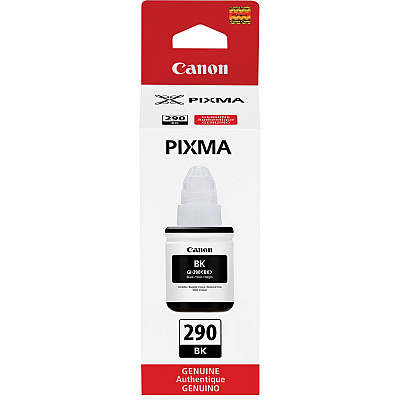 Canon PIXMA GI-290 Ink Bottle (CNMGI290BK)