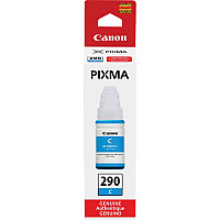 Canon PIXMA GI-290 Ink Bottle (CNMGI290C)