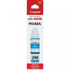 Canon PIXMA GI-290 Ink Bottle (GI290C)