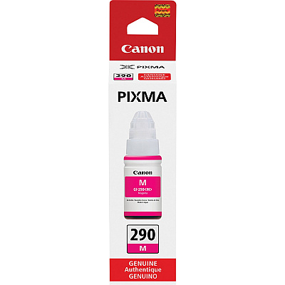 Canon PIXMA GI-290 Ink Bottle (CNMGI290M)