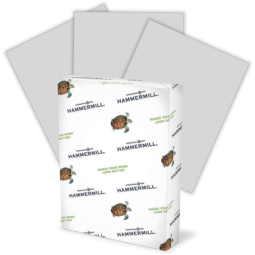 Hammermill Colors Recycled Copy Paper - Gray (HAM102889CT)