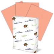 Hammermill Colors Recycled Copy Paper - Salmon (103119CT)