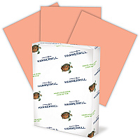 Hammermill Colors Recycled Copy Paper - Salmon (HAM103119CT)