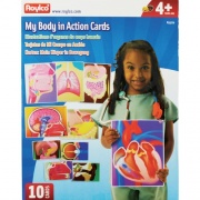 Roylco My Body In Action Animation Cards (R59270)