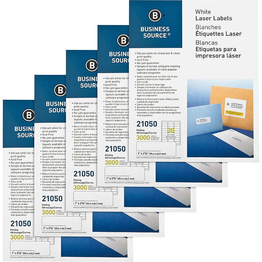 Business Source Bright White Premium-quality Address Labels (BSN21050CT)