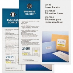 Business Source Bright White Premium-quality Address Labels (21051CT)