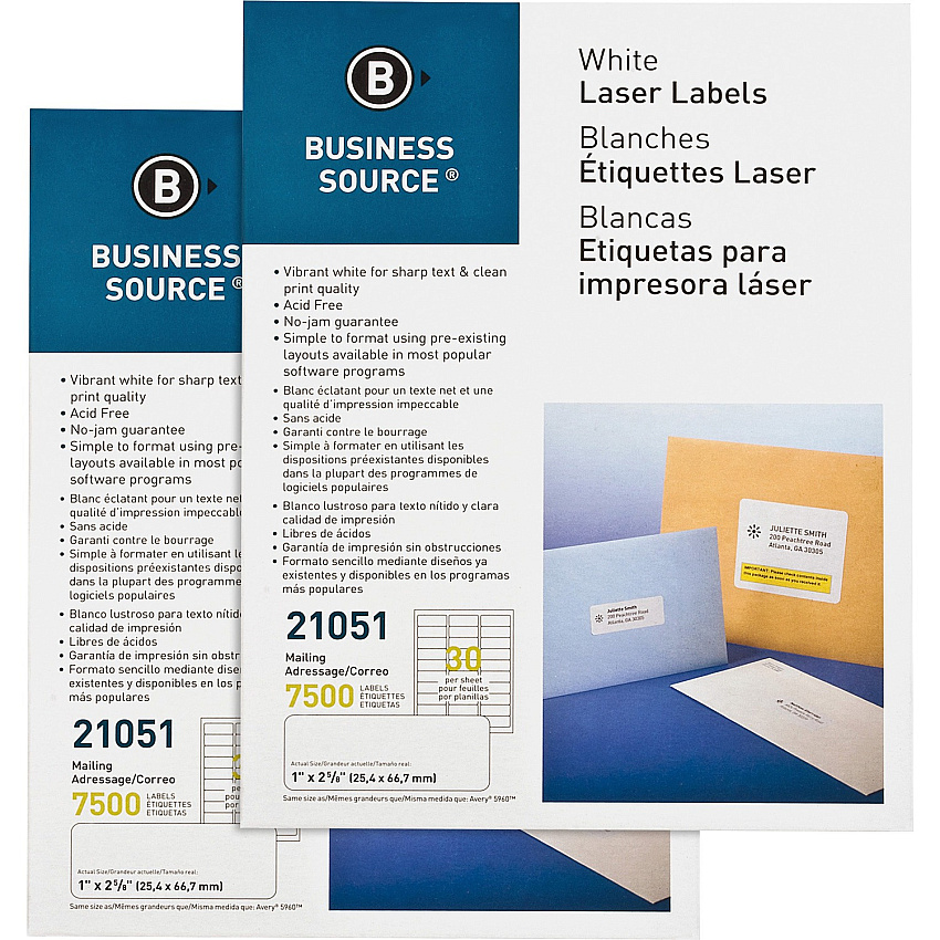 Business Source Bright White Premium-quality Address Labels (BSN21051CT)