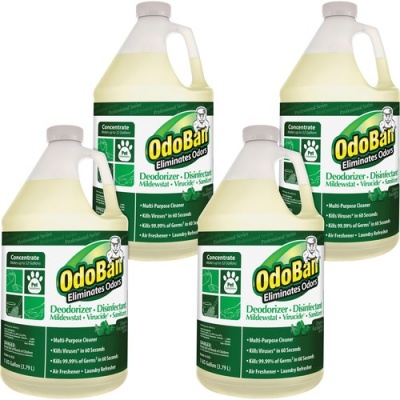 OdoBan Eucalyptus Multi-purpose Deodorizer Disinfectant Concentrate (911062G4)