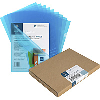 Business Source Letter File Sleeve (BSN00605BX)