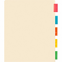 Business Source Color Tab Pocket Binder Dividers (BSN02073)