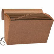 Business Source Letter Recycled Expanding File (23680)