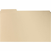 Business Source 1/3 Tab Cut Legal Recycled Expanding File (BSN241113)