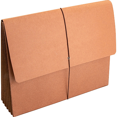Business Source Letter Recycled File Wallet (BSN26575)
