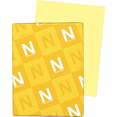 Exact Vellum Bristol Paper (WAU82331)