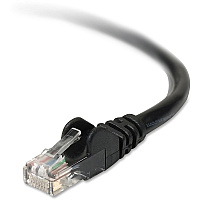 Belkin Cat6 Cable (BLKA3L98010BLKS)