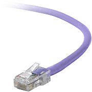 Belkin Cat5e Patch Cable (A3L79104PUR)
