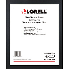 Lorell Poster Frame (LLR49223)