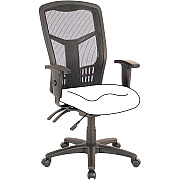 Lorell Ergomesh Executive Mesh High-Back Chair (86200) Frame (LLR86210)