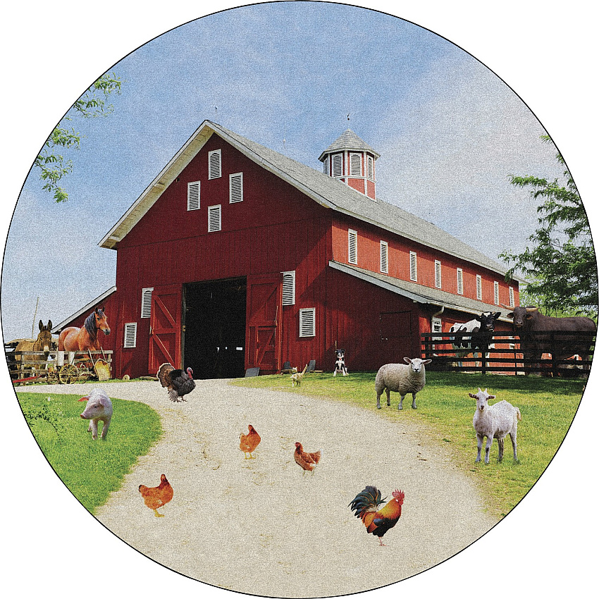 Flagship Carpets Barn Animals Classroom Rug (FA100471FS)