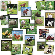 Flagship Carpets Barnyard Classroom Seat Squares (FA1004S24FS)