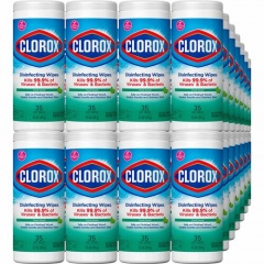 Clorox Disinfecting Cleaning Wipes (01593PL)