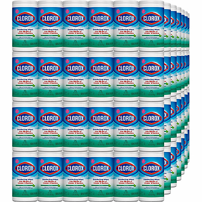 Clorox Disinfecting Wipes, Bleach-Free Cleaning Wipes (CLO01656PL)