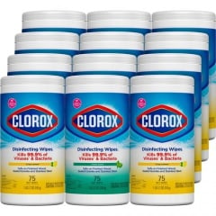 Clorox Disinfecting Wipes Value Pack, Bleach-Free Cleaning Wipes (30208)