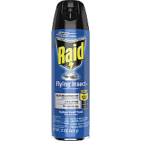 Raid Flying Insect Spray (SJN300816)