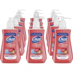 Dial Antibacterial Liquid Hand Soap (02795CT)