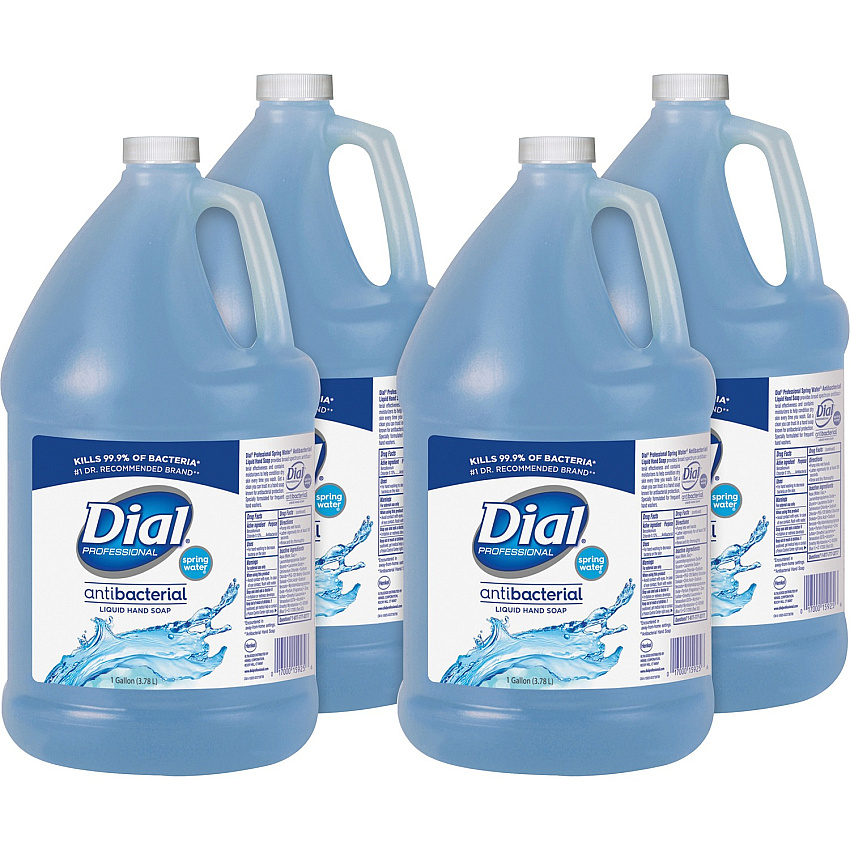 Dial Spring Water Scent Liquid Hand Soap (DIA15926)