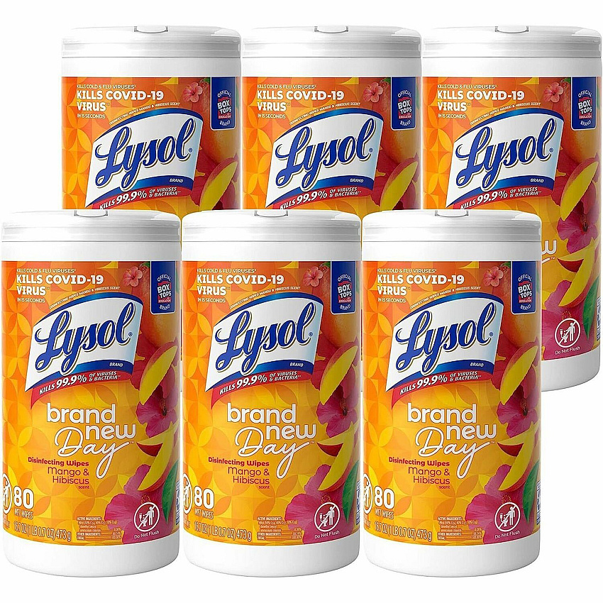 LYSOL Brand New Day Disinfecting Wipes (RAC97181)