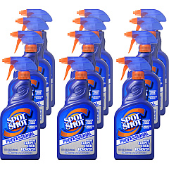 Spot Shot Professional Instant Carpet Stain Remover (WDF009729CT)