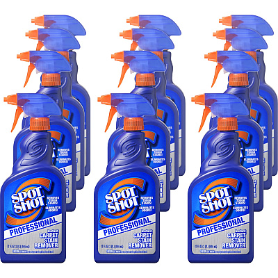 Spot Shot Professional Instant Carpet Stain Remover (WDF009729CT)