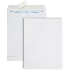 Quality Park Redi Strip Security Mailing Envelopes (QUA44929)