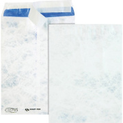Quality Park Survivor Security Tint Catalog Mailer (R2041)