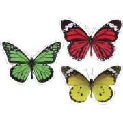 Carson-Dellosa Education Carson-Dellosa Education Woodland Whimsy Butterflies Cut-Outs Set (120563)