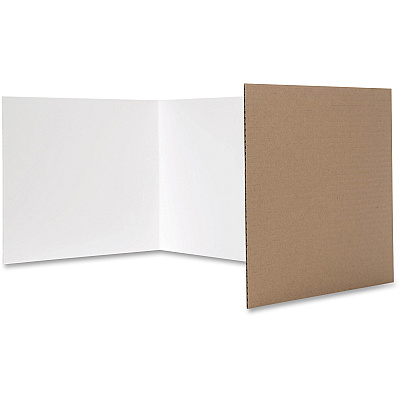 Flipside 12 x 48 Tri-fold Study Carrel (FLP6000524)