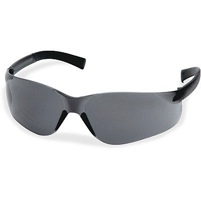 ProGuard Fit 821 Safety Glasses w/Rubber Temple Tips (PGD8212001CT)