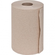 Special Buy Hardwound Roll Towels (HRT350BN)