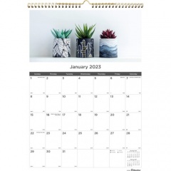 Rediform Succulent Plants Wall Calendar (C173121)